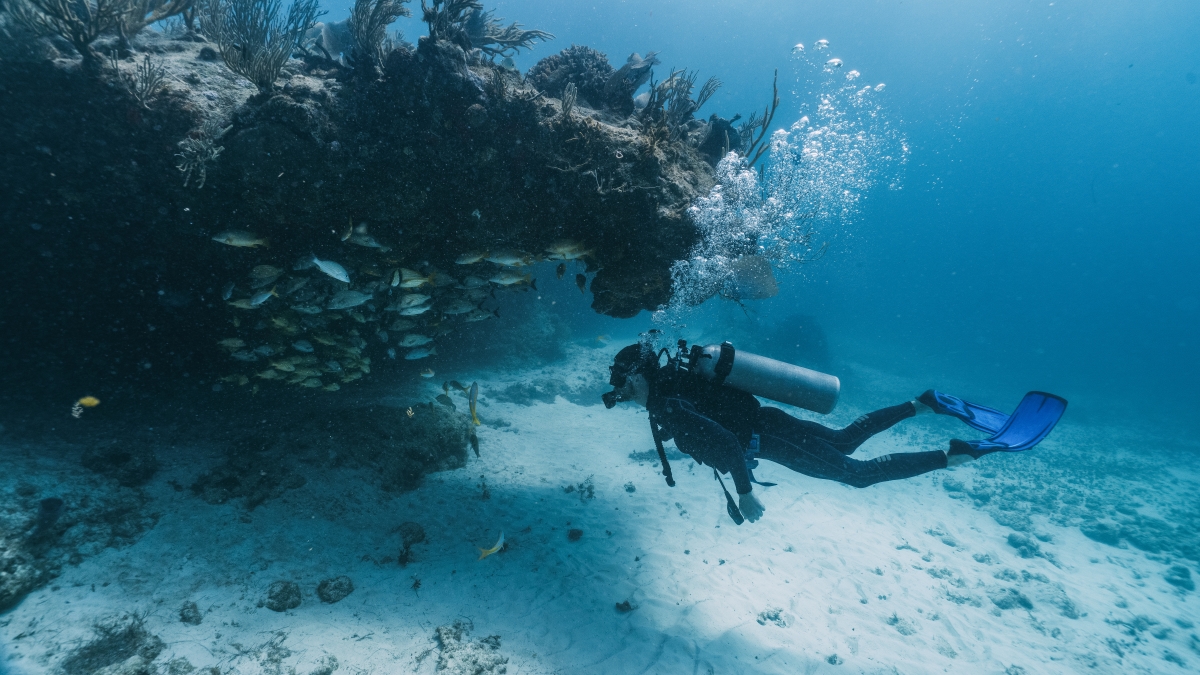 diver-looking-inside-a-cavern-for-big-school-of-fish-in-grand-cayman-caribbean-sea